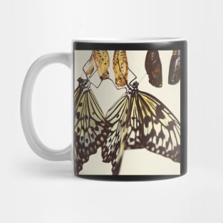 Chrysalis Mug